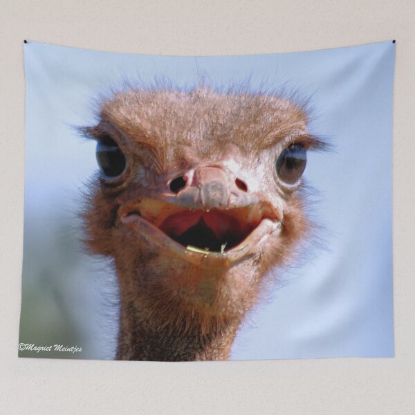Item preview, THE OSTRICH - Struthio camelus,  AND.... *What did I have for breakfast.....or lunch? designed and sold by Magriet Meintjes.