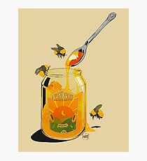 Honey Photographic Print
