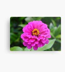 Zinnia at Gibbs Gardens Metal Print