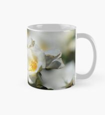 Bumblebee on White Rose at Gibbs Gardens Mug