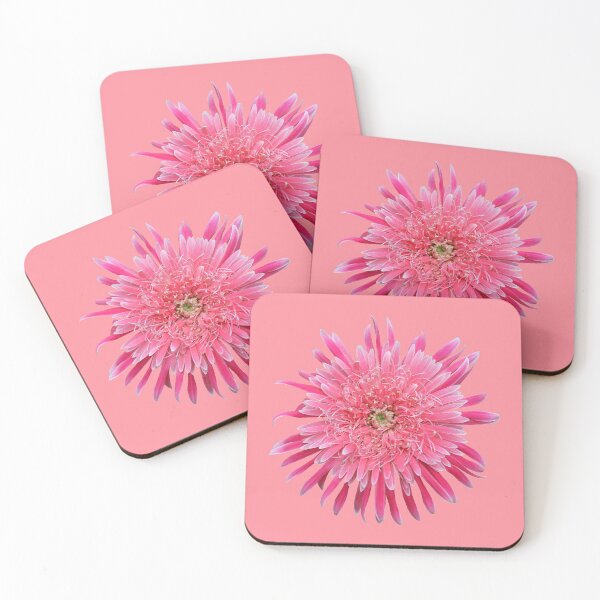 Item preview, Pink Gerbera on Pink designed and sold by STHogan2.