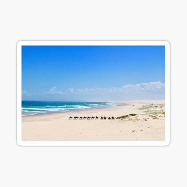 Item preview, Birubi Beach, Port Stephens NSW designed and sold by Bec Rose.