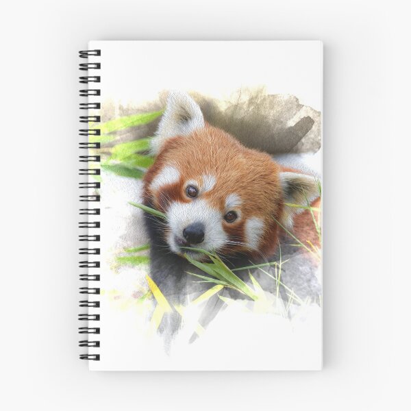 Item preview, Little red panda close up designed and sold by Pearcatprod.