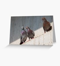 Standing On One Leg Greeting Card