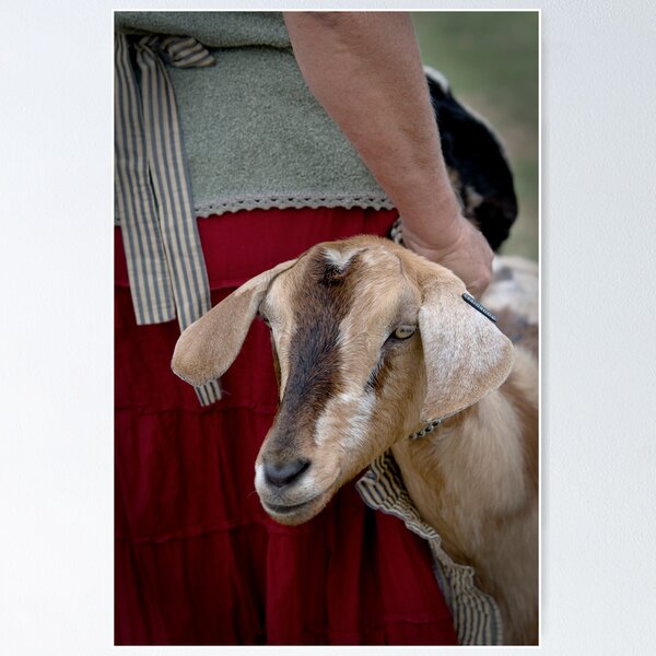 Item preview, Goat and Master designed and sold by Lauri7.