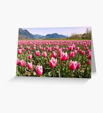 Tulip Farm Greeting Card