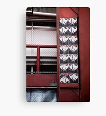Valley Alley Face Canvas Print