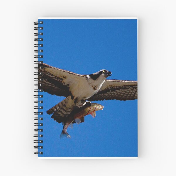 Artikelvorschau, Osprey und Forelle # 5070 entworfen und verkauft von JL Woody Wooden.