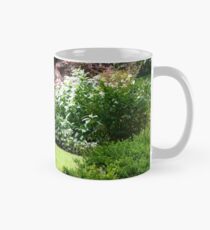 Stairs to the Manor House Garden Mug