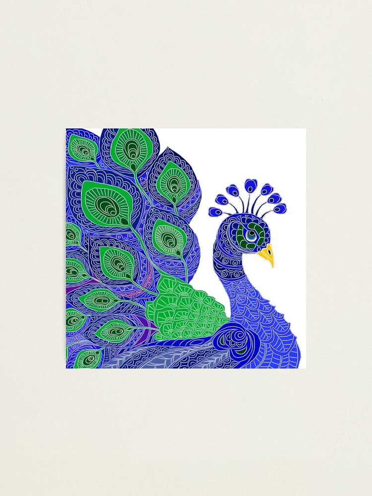 How to Draw a Peacock | Envato Tuts+