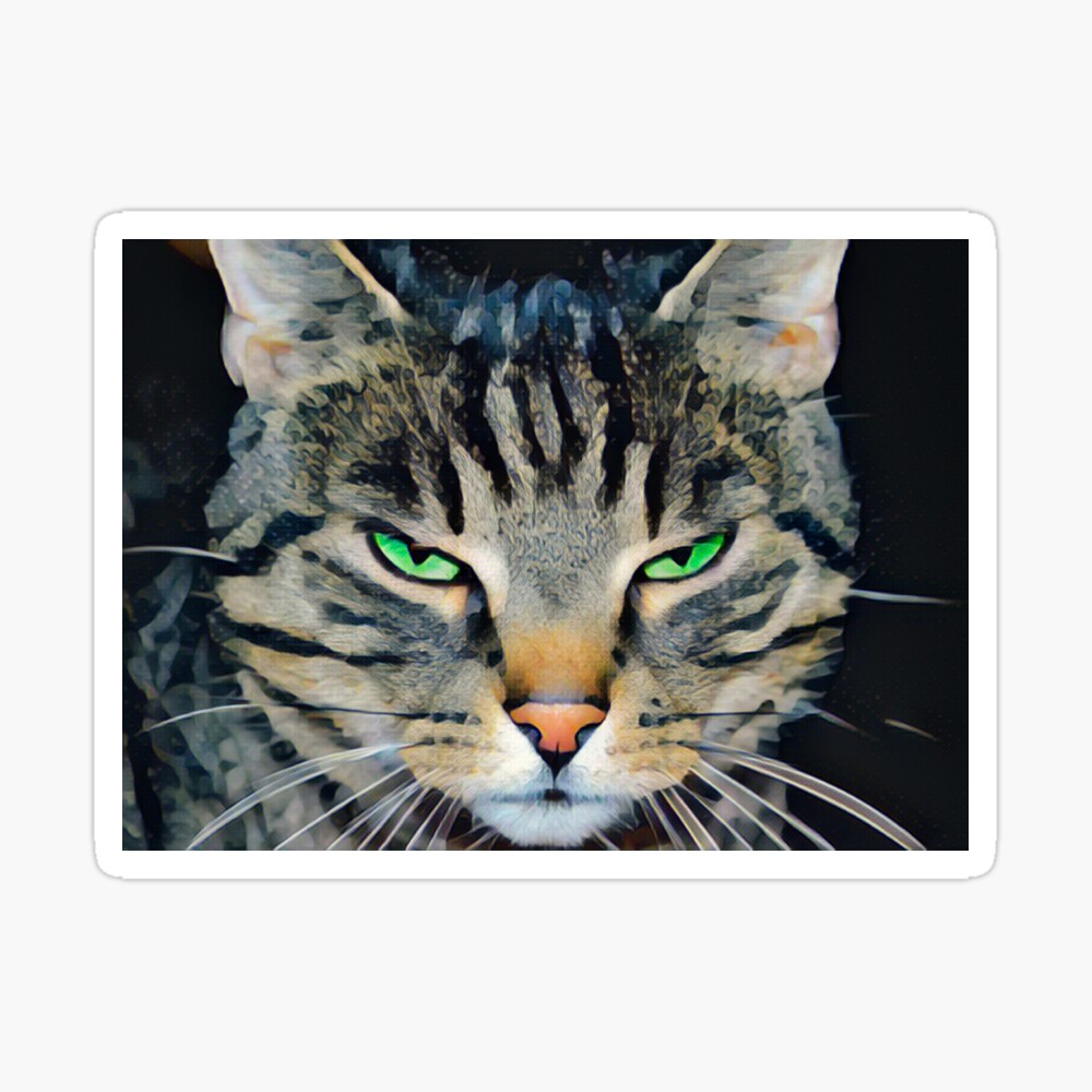 Impression Rigide Chat Tabby En Colere Aux Yeux Verts Par Heathermarie321 Redbubble