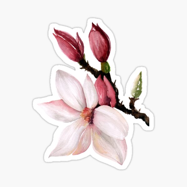Magnolia flower Sticker