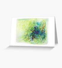 Black Swans -Tamar Valley, Tasmania Greeting Card