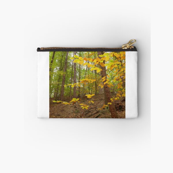 Item preview, Early autumn woodlands at Newmillerdam designed and sold by Anna Myerscough.