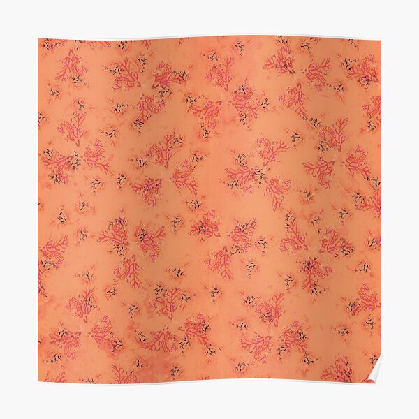 Orange and Pink Coral Print Poster