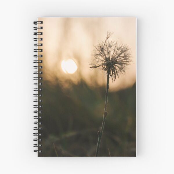 Item preview, Single, wilted dandelion against blurry natural background during sunset. designed and sold by Ana Fidalgo.