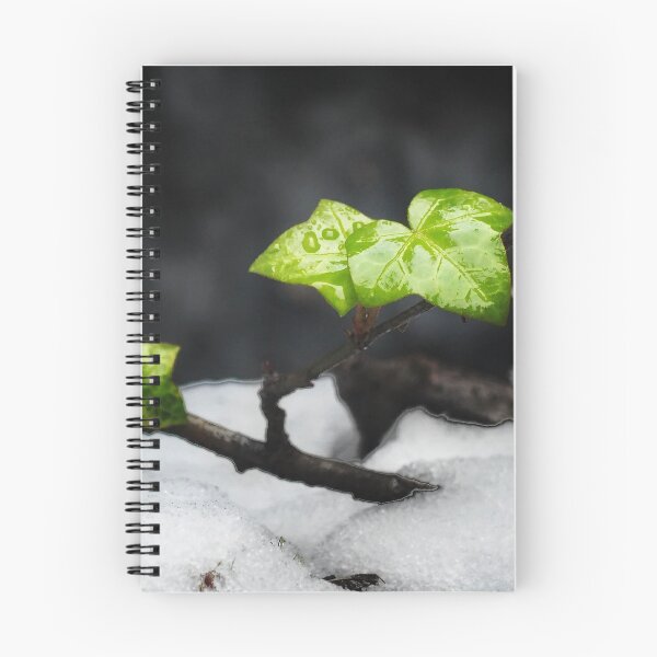 Item preview, Melting Snow designed and sold by yemyo98.