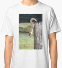 HANG IN THERE Classic T-Shirt