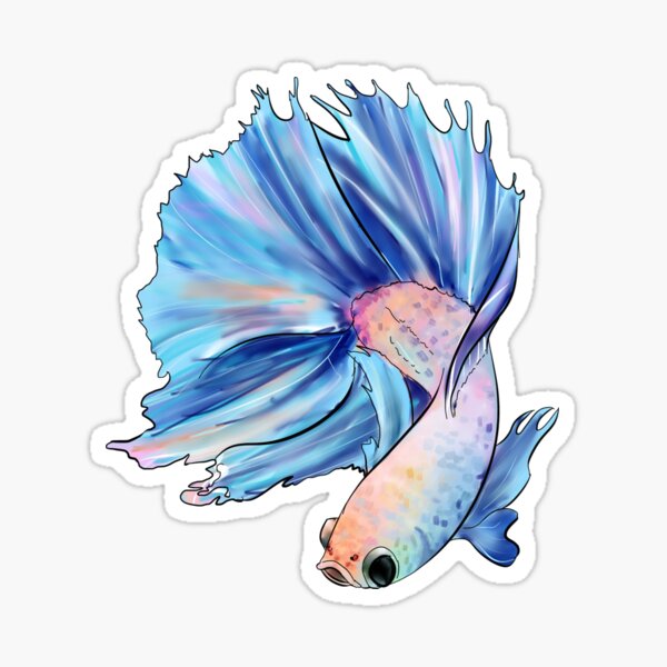 Siamese fighting fish Sticker, Sticker for water bottle, laptop sticker,  laptop, stickers Animals, Waterproof Stickers, beta, fish