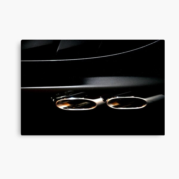 Black serie 11 Canvas Print