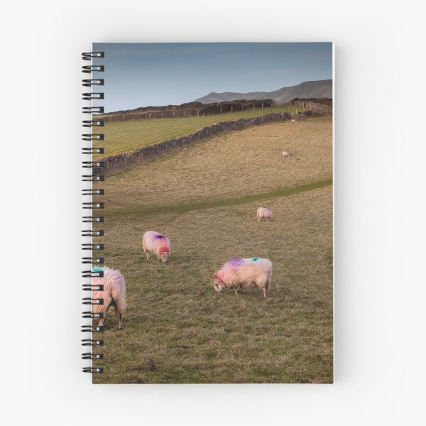 Item preview, Welsh sheep in a field designed and sold by Leighton Collins.