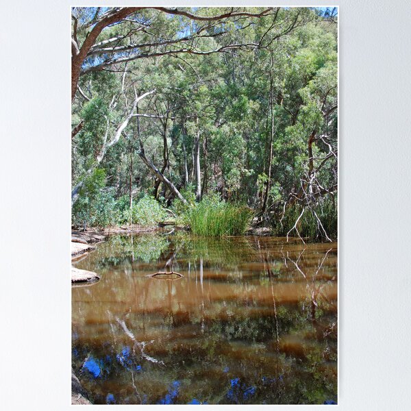 Item preview, Wilpena Creek, Flinders Ranges, South Australia designed and sold by Adrian Paul.