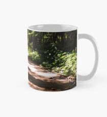 Sheldon Marsh Nature Walk Mug