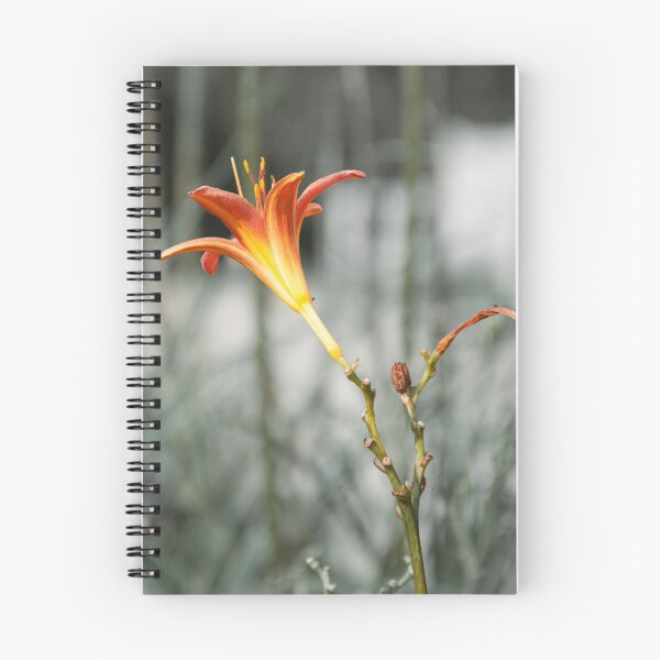 Item preview, Daylily designed and sold by Avantgarda.