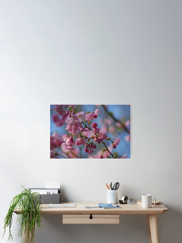 Thumbnail 2 of 3, Poster, Spring bloom designed and sold by roumen.