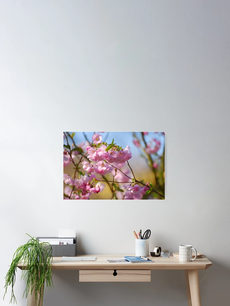 Thumbnail 2 of 3, Poster, Spring bloom designed and sold by roumen.