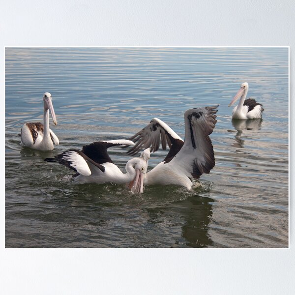 Item preview, Pelican fight 12 designed and sold by Stephen Quennell.