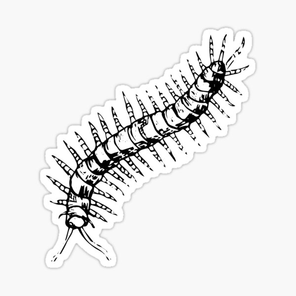 Item preview, Centipede designed and sold by Ally Doctrow.