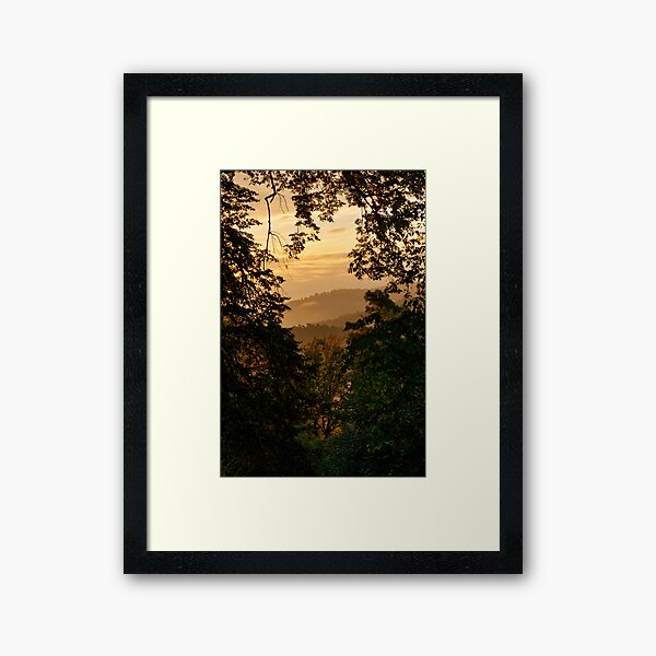 Item preview, Forêt de Hohenfels designed and sold by Jean Isenmann.