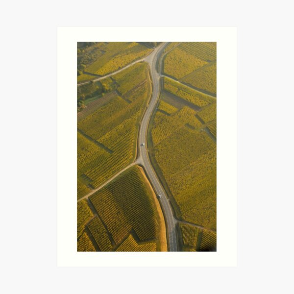 Route au milieu du vignoble Impression artistique