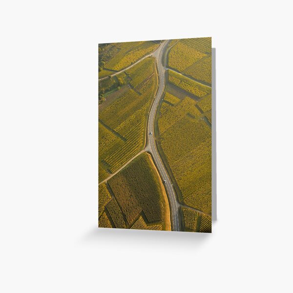 Route au milieu du vignoble Carte de vœux