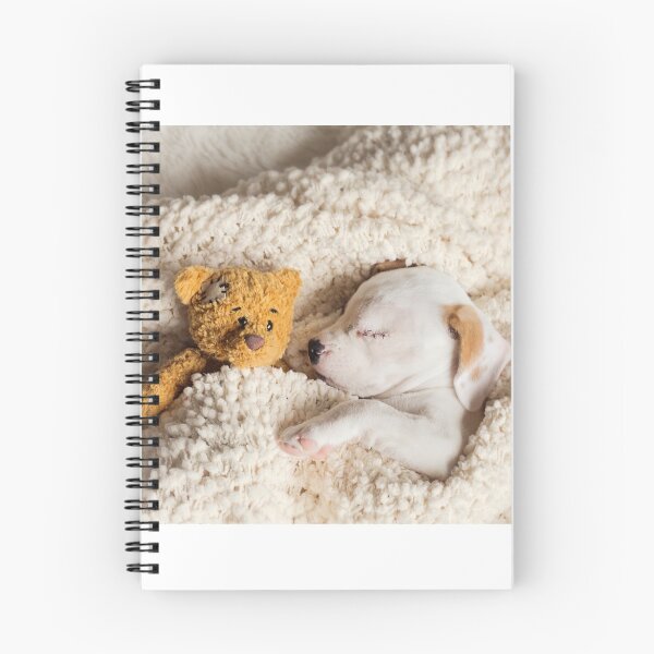 Item preview, Daisy & Patches designed and sold by Renee Dawson.