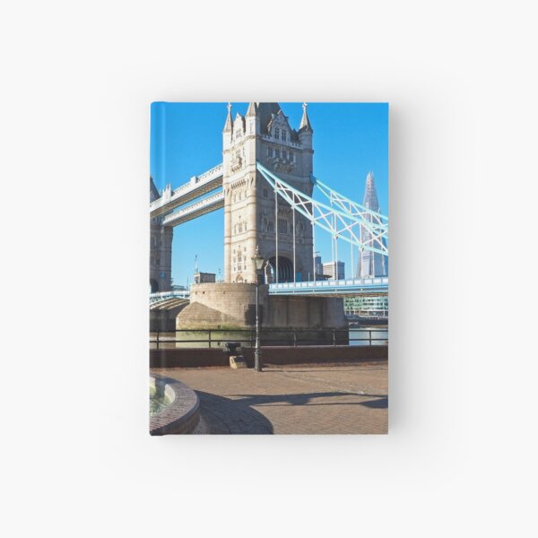The Girl With A Dolphin Hardcover Journal