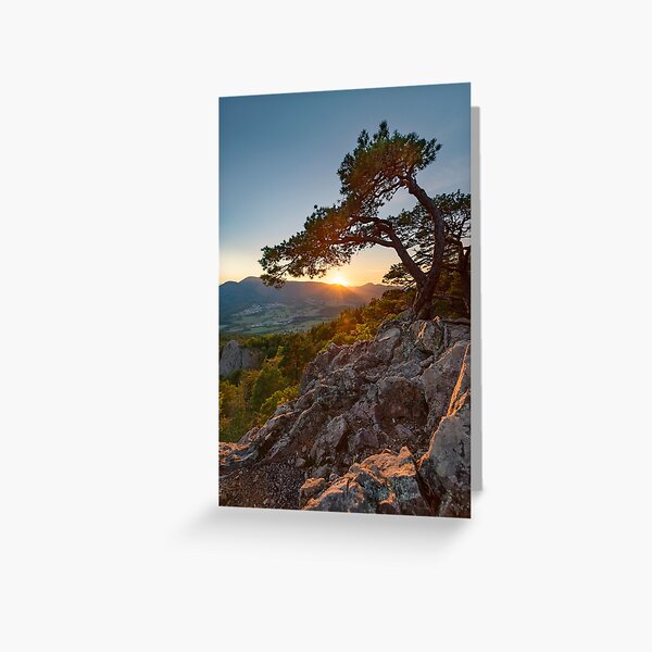 Coucher de Soleil au rocher du Hagelstein Carte de vœux