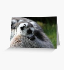 Sleeping Lemar Greeting Card