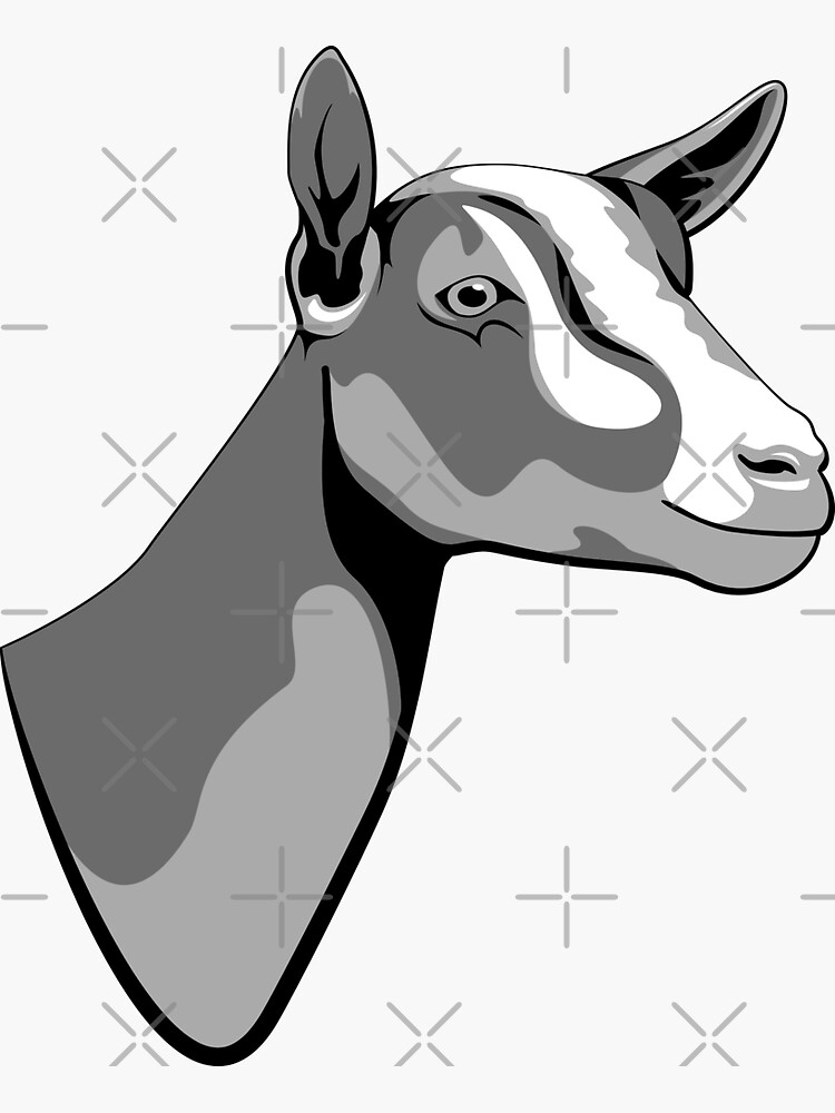 "Nigerian Dwarf Dairy Goat" Sticker for Sale by missikk2 Redbubble
