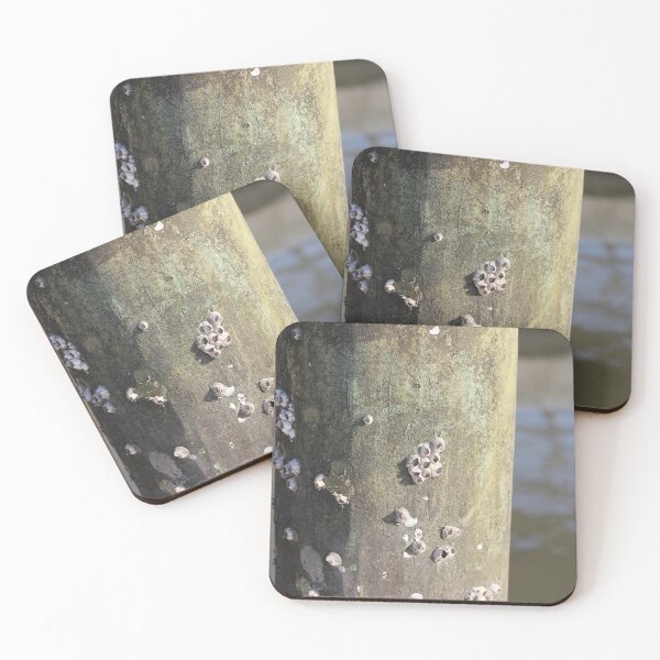 Item preview, barnacles designed and sold by speecherri.