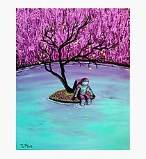 Dreamer Photographic Print