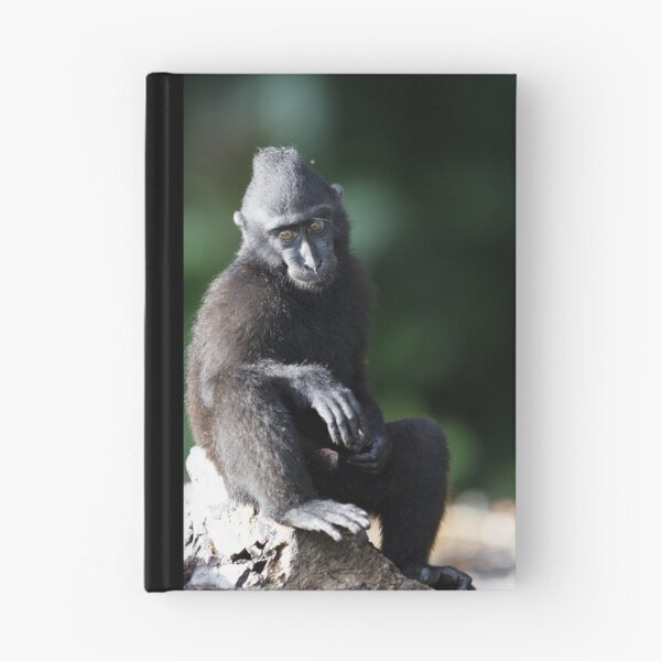 Item preview, Celebes crested macaque designed and sold by Jeremy Weiss.
