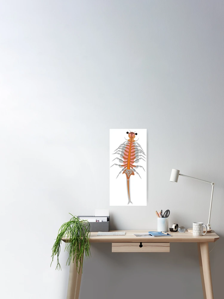 Brine Shrimp, Artemia Salina, Lm Fleece Blanket by Rub�n Duro/BioMEDIA  ASSOCIATES LLC - Pixels