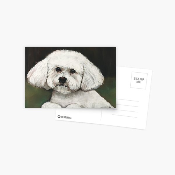 Bichon Frise Postcard
