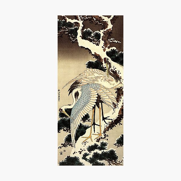 'Two Cranes on a Pine Covered with Snow' by Katsushika Hokusai (Reproduction) Photographic Print