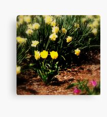 Softly spring comes Canvas Print