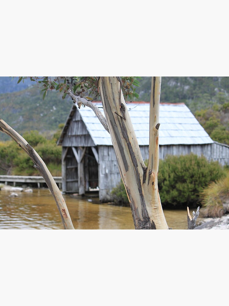 Wooden Boat Shed by SnapAddict
