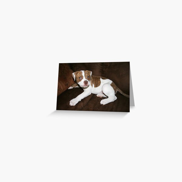 I can sit here, right? Greeting Card