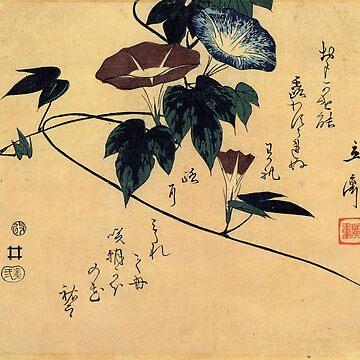 Artwork thumbnail, Morning Glory by Katsushika Hokusai (Reproduction) by Classic Visions Gallery